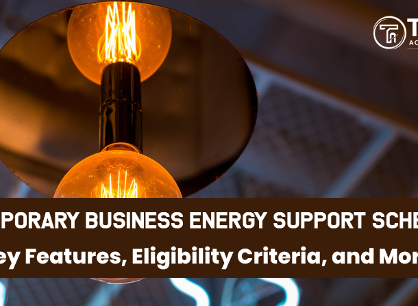 temporary business energy support scheme ireland