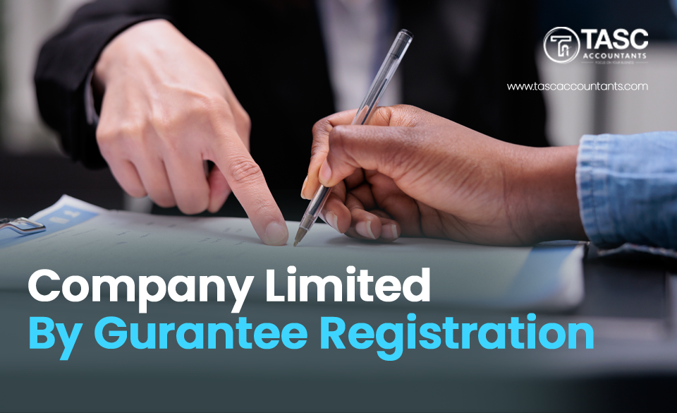 Company limited by guarantee registration ireland
